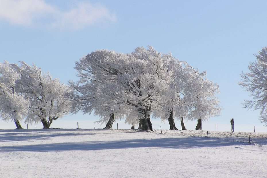 Schnee am Schauinsland